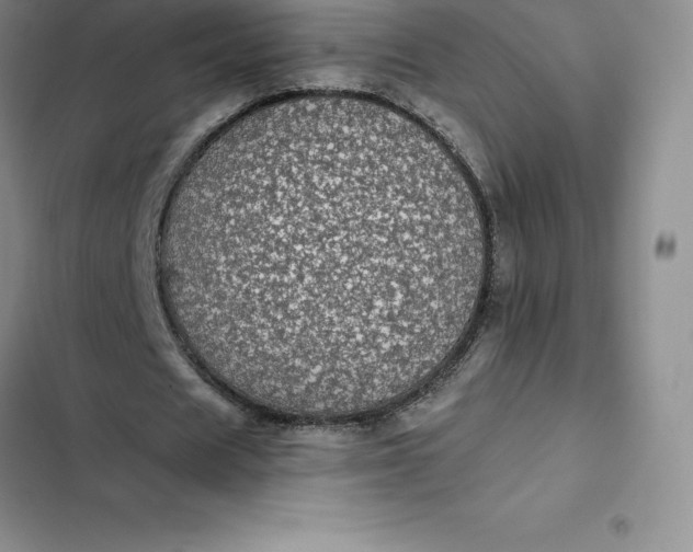 X0000102520625200808221842