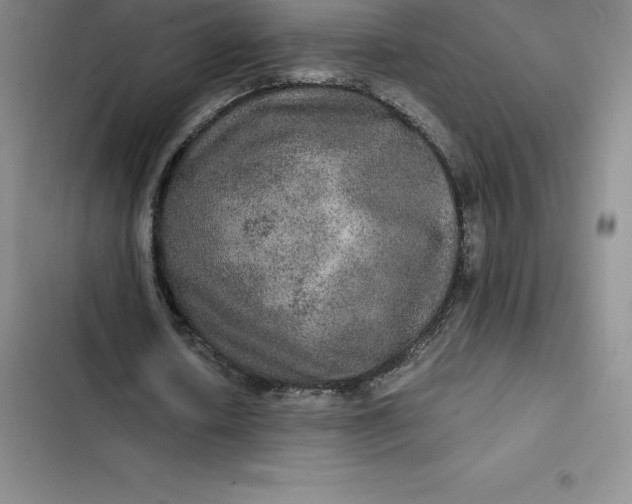 X0000102520626200808221842