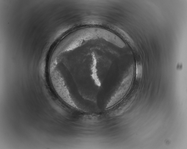 X0000102520627200808221842