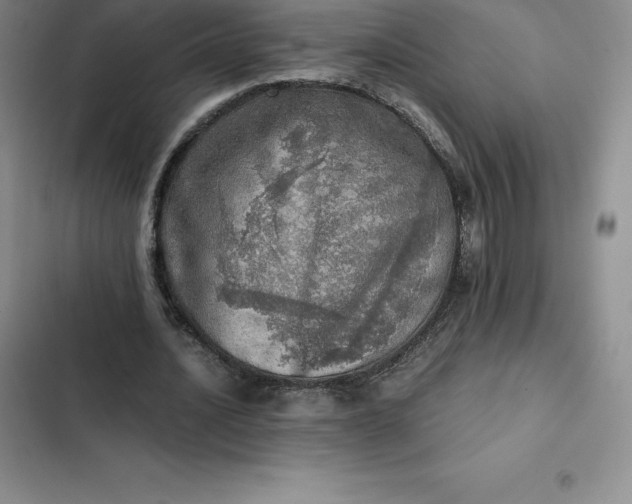 X0000102520628200808221842