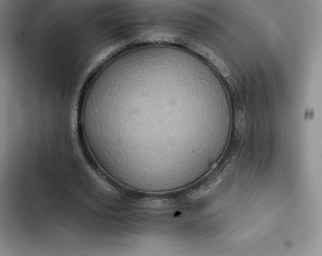 X0000102520629200808221842