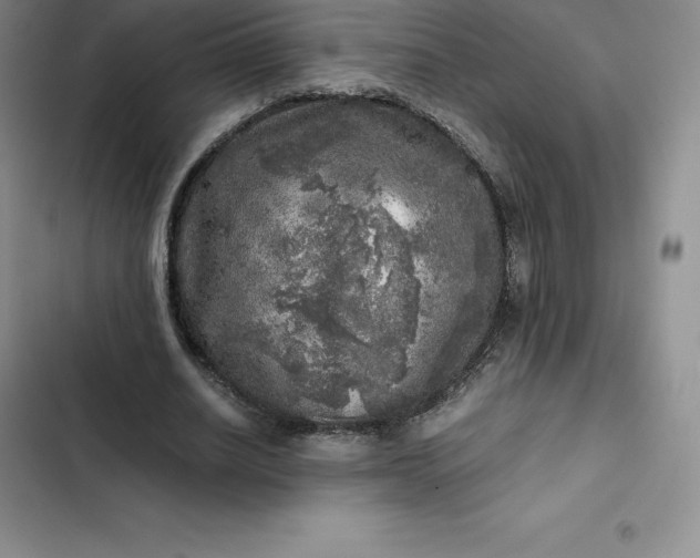 X0000102520630200808221842