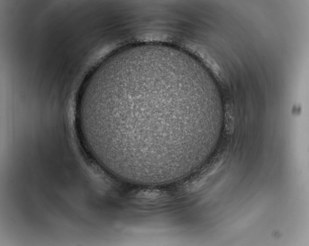 X0000102520631200808221842