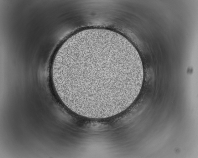 X0000102520632200808221842