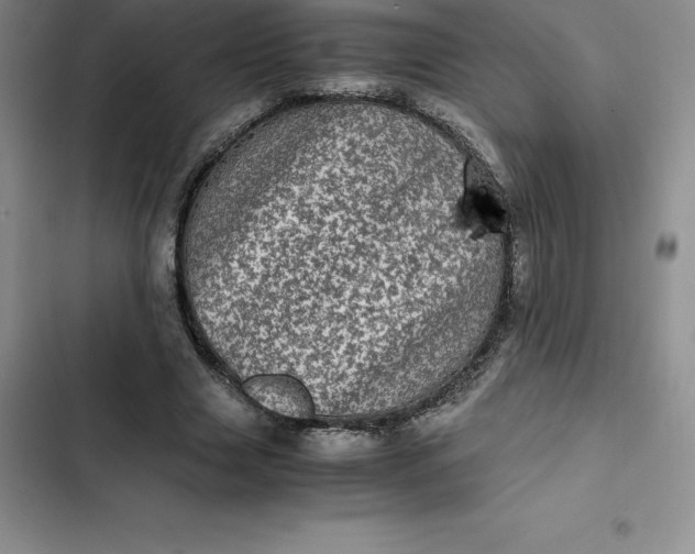 X0000102520633200808221842