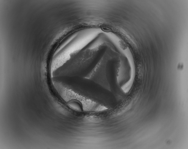 X0000102520634200808221842