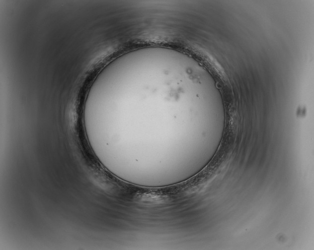 X0000102520635200808221842