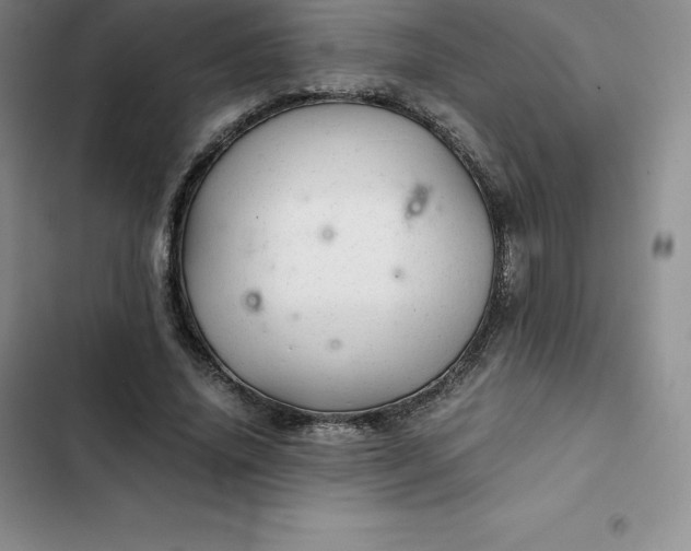 X0000102520636200808221842