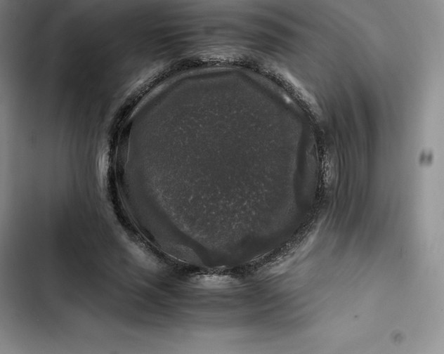 X0000102520637200808221842