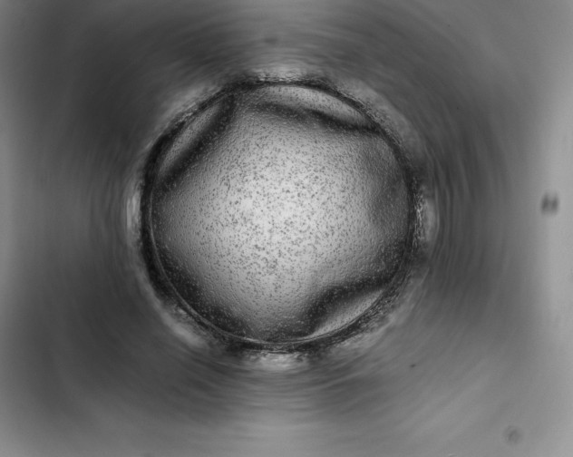 X0000102520638200808221842