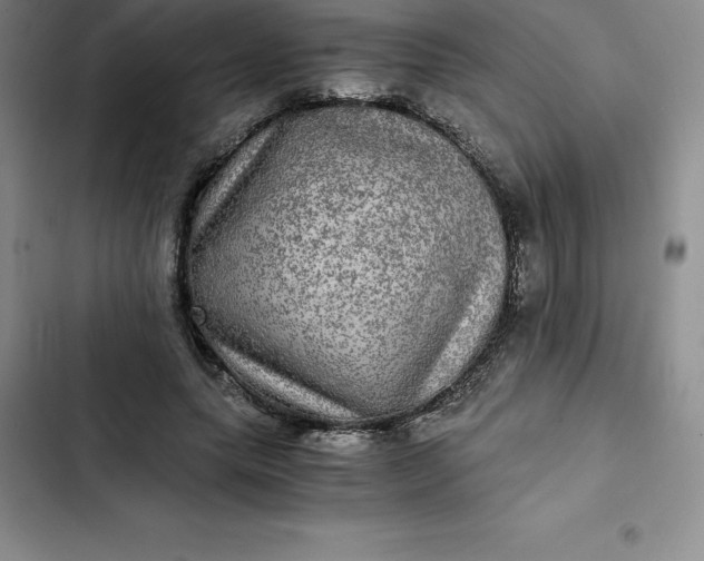 X0000102520639200808221842