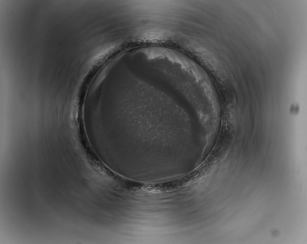 X0000102520640200808221842