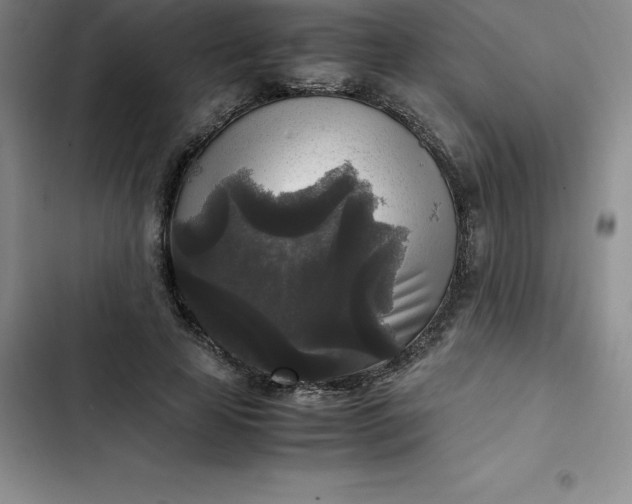 X0000102520641200808221842