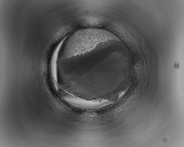 X0000102520642200808221842