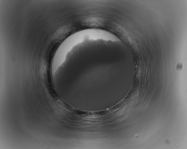 X0000102520643200808221842