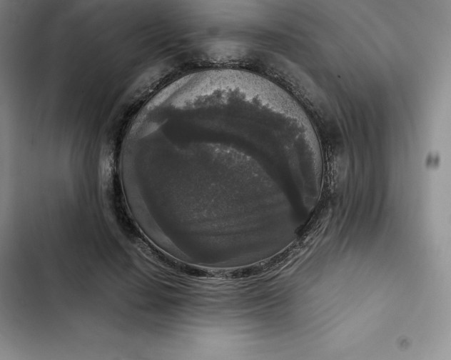 X0000102520644200808221842