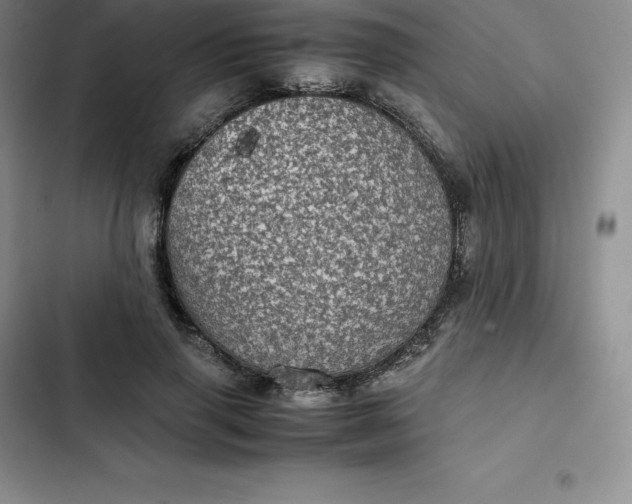 X0000102520645200808221842