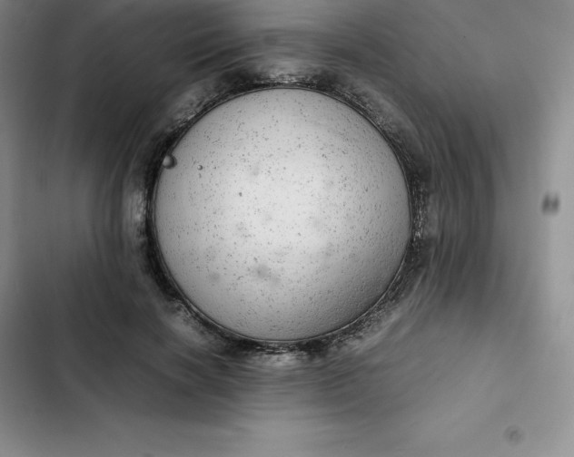 X0000102520646200808221842