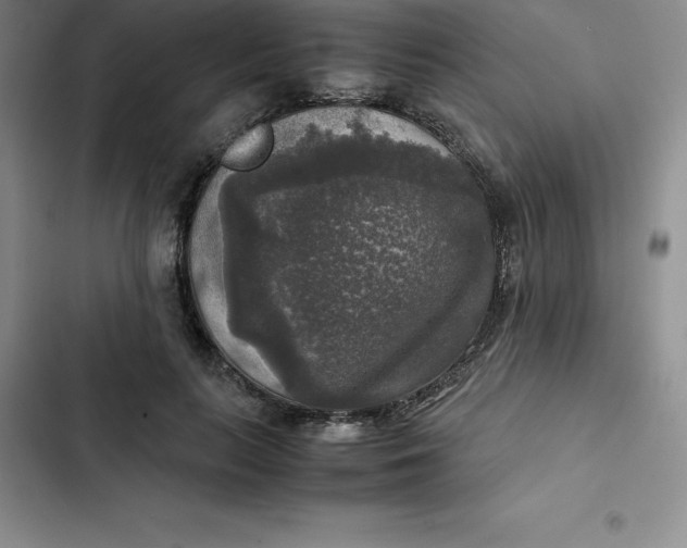 X0000102520647200808221842