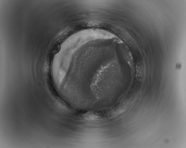 X0000102520648200808221842