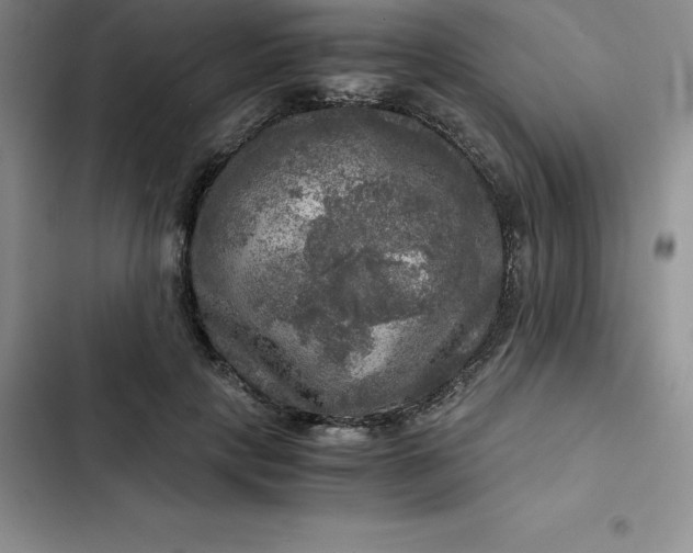 X0000102520649200808221842