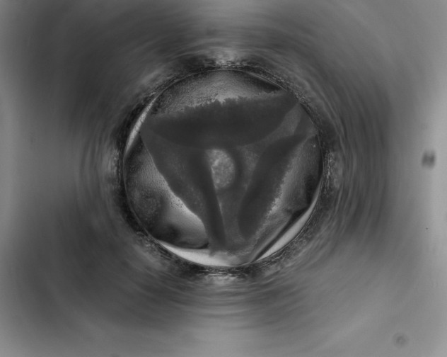 X0000102520650200808221842