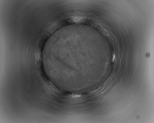 X0000102520651200808221842