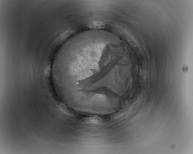 X0000102520652200808221842