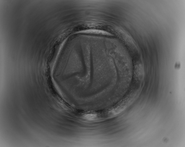 X0000102520653200808221842