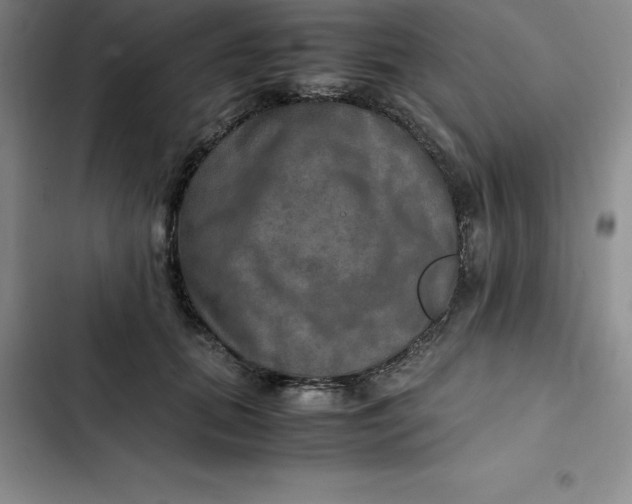 X0000102520655200808221842