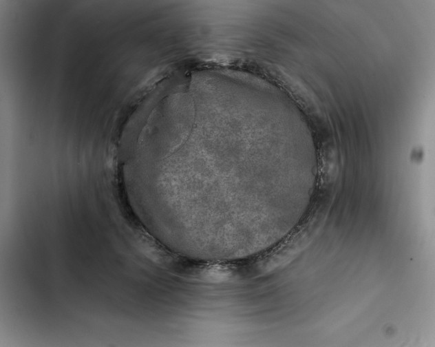 X0000102520656200808221842