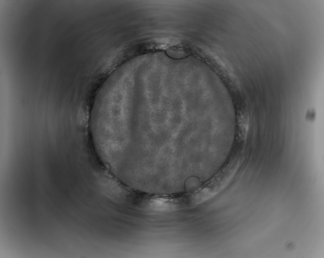 X0000102520657200808221842