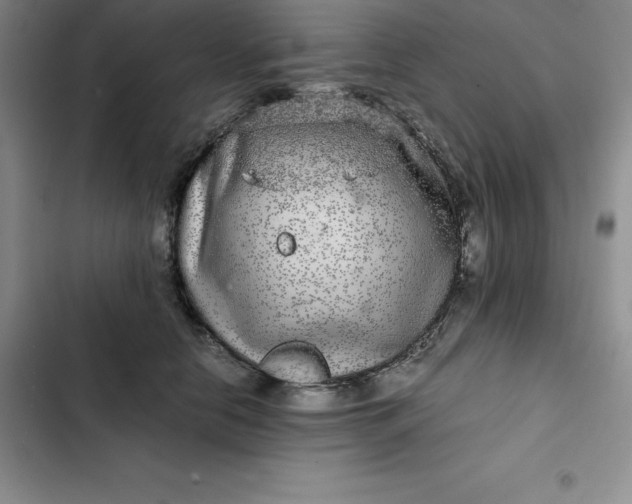 X0000102520658200808221842