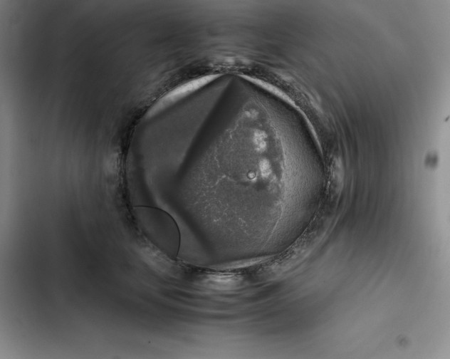 X0000102520659200808221842