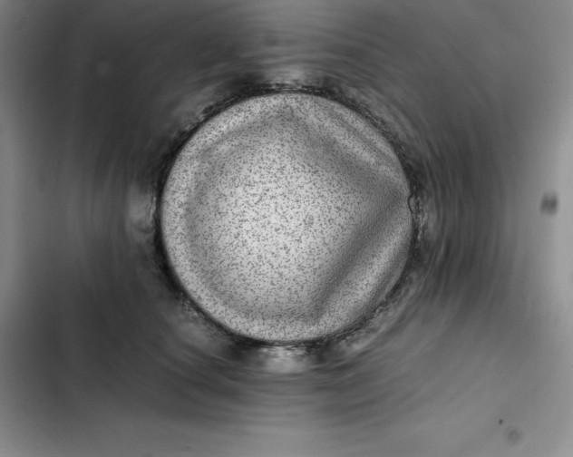 X0000102520660200808221842