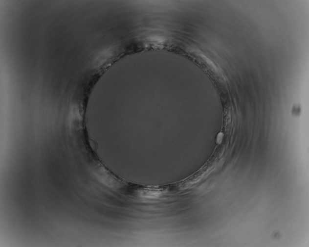 X0000102520661200808221842