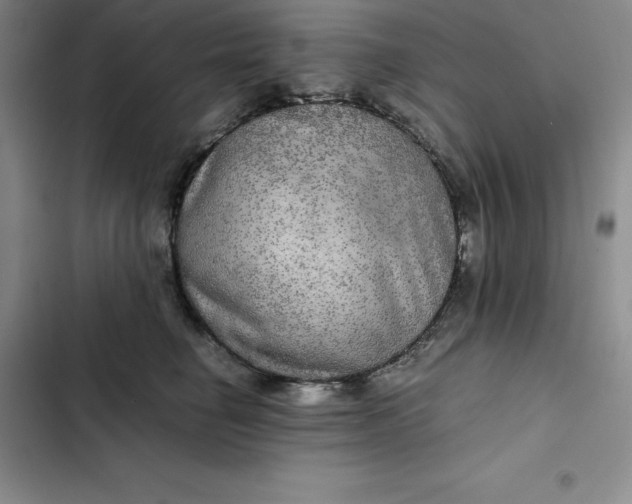 X0000102520662200808221842