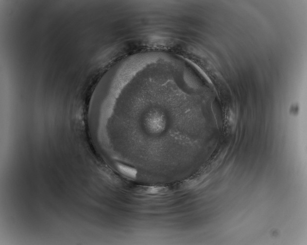 X0000102520663200808221842