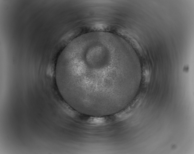 X0000102520665200808221842