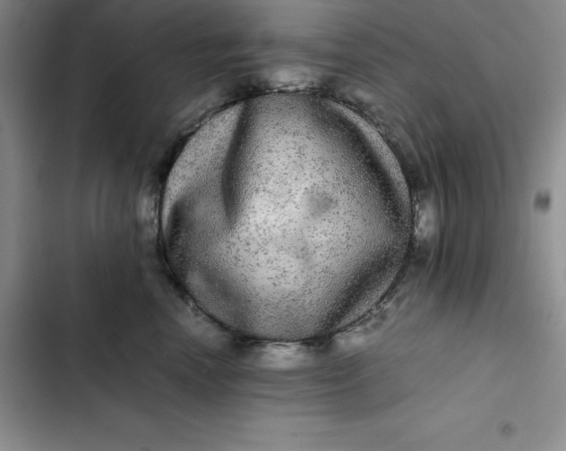 X0000102520666200808221843