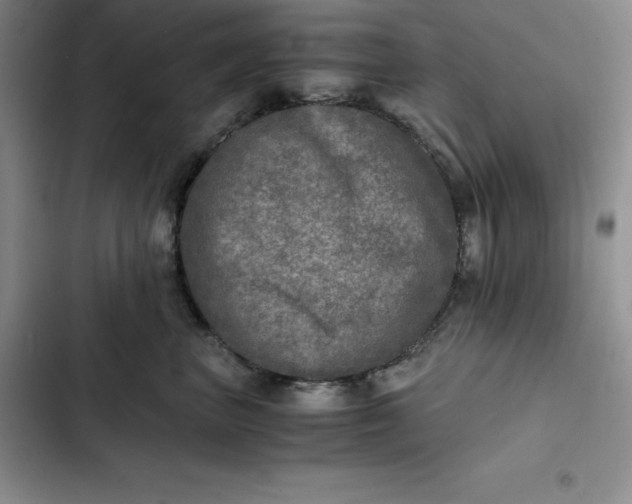 X0000102520667200808221843