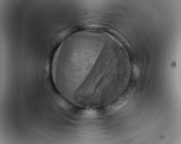 X0000102520668200808221843