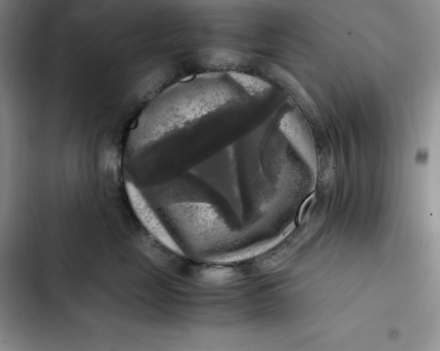 X0000102520669200808221843