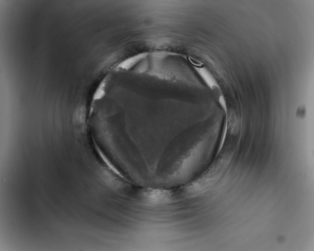 X0000102520670200808221843