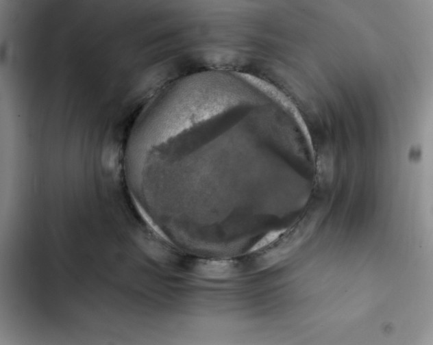 X0000102520671200808221843