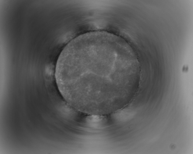 X0000102520672200808221843