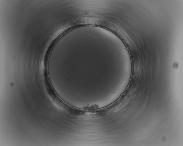 X0000102520674200808221842