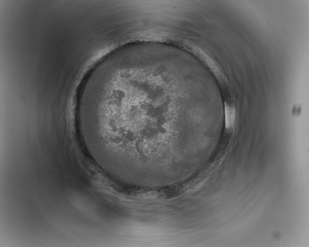 X0000102520675200808221842