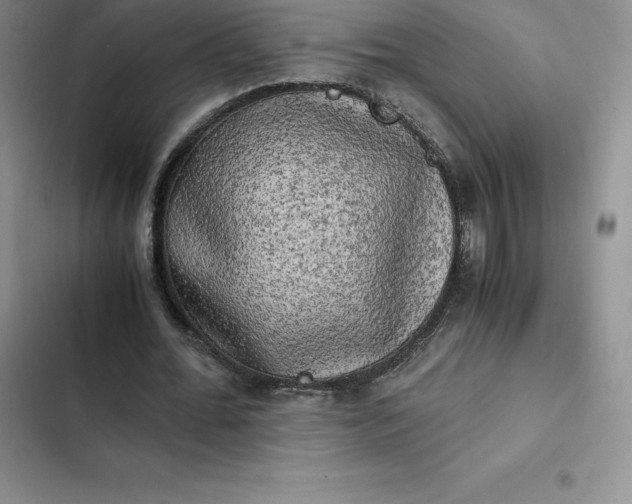 X0000102520676200808221842