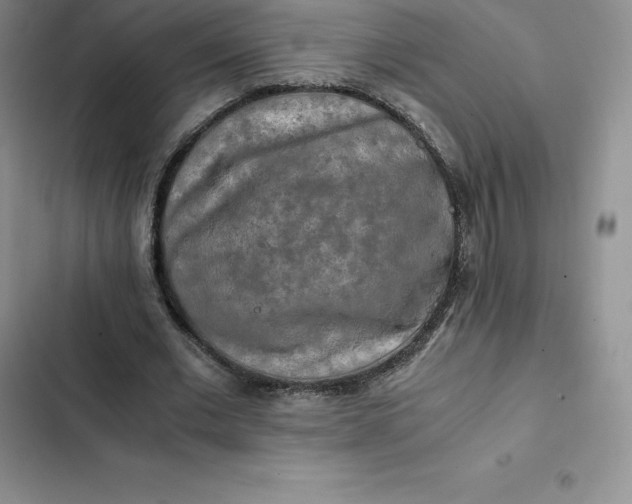 X0000102520677200808221842